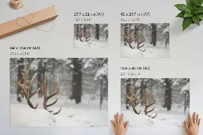 Kunstdruck Poster geweihe im winterwald für eine natürliche ruhe