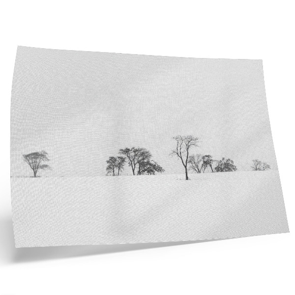 Poster kunstdruck Minimalistische Winterlandschaft mit Bäumen und Frieden
