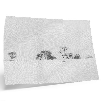 Poster kunstdruck Minimalistische Winterlandschaft mit Bäumen und Frieden