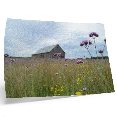Poster kunstdruck Wiese mit lila und gelben Blumen auf einer ländlichen Scheune