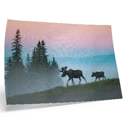 Poster Kunstdruck Elche am Morgen vor nebliger Waldkulisse