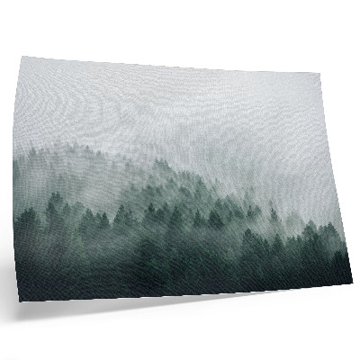 Poster kunstdruck Nebelverhangene Wälder, die Frieden und Geheimnis ausstrahlen.