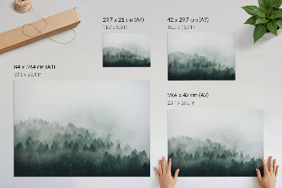 Poster kunstdruck Nebelverhangene Wälder, die Frieden und Geheimnis ausstrahlen.