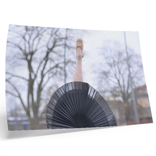 Poster Ballett, Subtilität, Harmonie, lokale Atmosphäre
