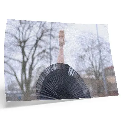 Poster mit Ballett, Subtilität und Harmonie in lokaler Atmosphäre