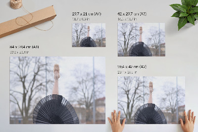 Poster Ballett, Subtilität, Harmonie, lokale Atmosphäre