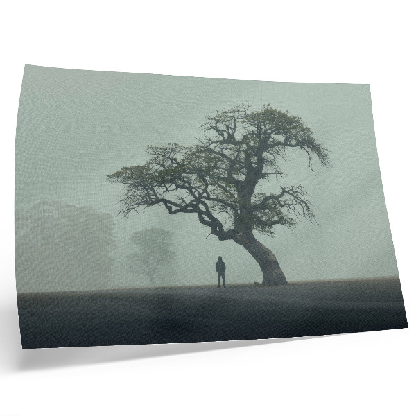 Kunstdruck poster Einsamer Baum, Nebel, dunkle Silhouette, Atmosphäre