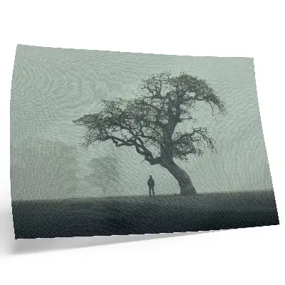 Kunstdruck Poster einsamer Baum im Nebel mit dunkler Silhouette