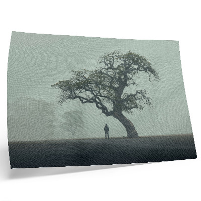 Kunstdruck poster Einsamer Baum, Nebel, dunkle Silhouette, Atmosphäre