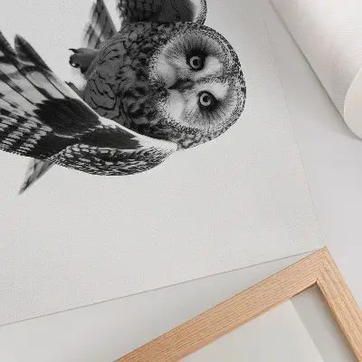 Kunstdruck mit einer fliegenden Eule mit einer fliegenden Eule für eine friedliche Atmosphäre und einzigartige Eleganz