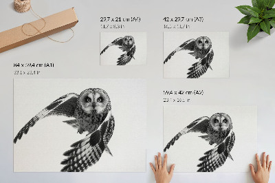 Poster kunstdruck Porträt einer fliegenden Eule, einzigartige Eleganz, friedliche Atmosphäre