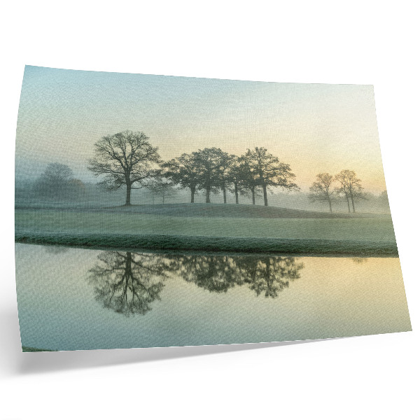 Kunstdruck poster Ruhige Wasseroberfläche, Spiegelung der Bäume, leichter Nebel