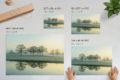 Kunstdruck poster Ruhige Wasseroberfläche, Spiegelung der Bäume, leichter Nebel