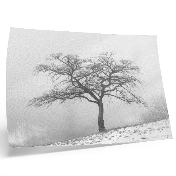Poster Einsamer Baum, Winterfrieden, Minimalismus, Harmonie
