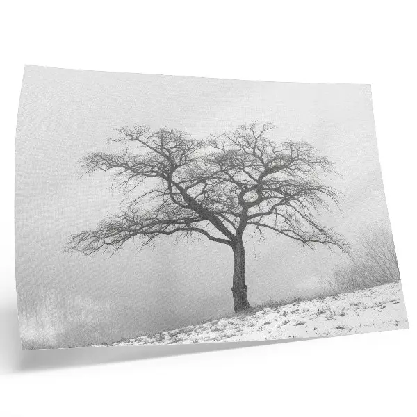 Poster mit Motiv einsamer Baum für winterlichen Minimalismus und Harmonie