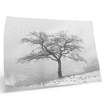 Poster mit Motiv einsamer Baum für winterlichen Minimalismus und Harmonie