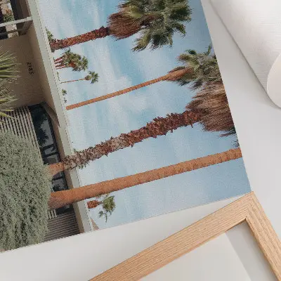 Kunstdruck Poster mit exotischen Palmen, modernem Haus und Oldtimer