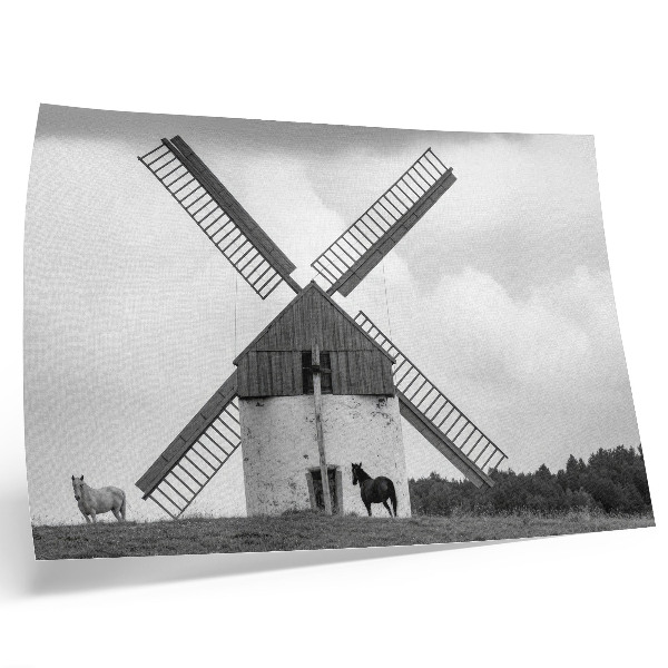 Poster Eine schwarz-weiße Windmühle auf einem Feld mit Pferden