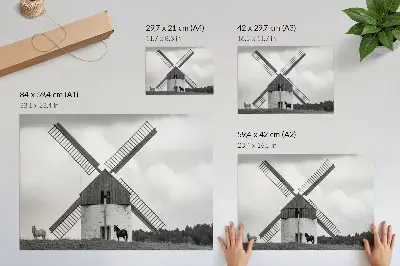 Poster schwarz-weiße Windmühle auf einem Feld mit Pferden