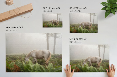 Poster kunstdruck Ein Pferd vor dem Hintergrund von Farnen in einem nebligen Wald