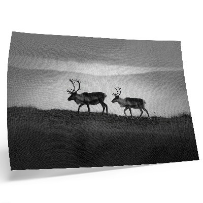 Kunstdruck poster Rentier auf einem Hügel – minimalistische Komposition