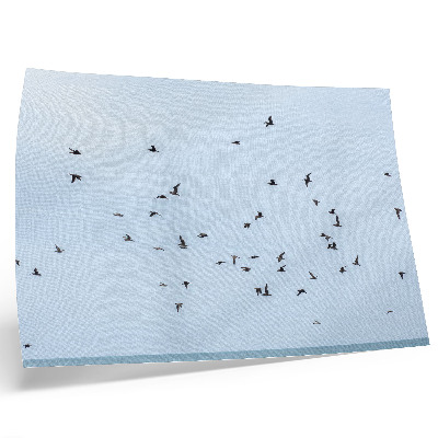 Poster Ein Vogelschwarm über dem blauen Meer