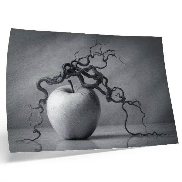Kunstdruck Poster mit apfel und ast in harmonischer monochromie