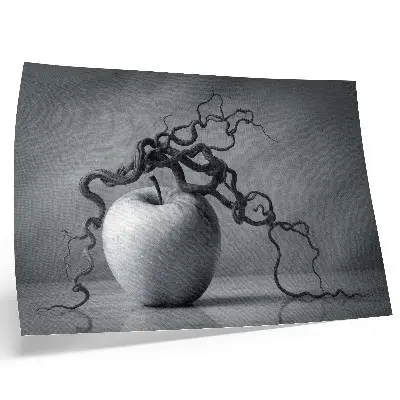 Kunstdruck Poster mit apfel und ast in harmonischer monochromie