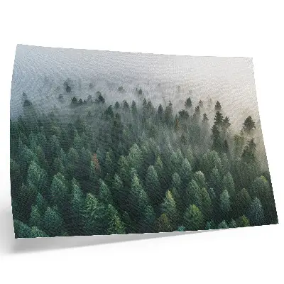 Grüner Wald im Nebel Kunstdruck stimmungsvolles und geheimnisvolles Motiv für ein Poster