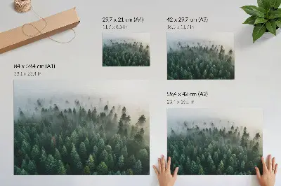 Grüner Wald im Nebel Kunstdruck stimmungsvolles und geheimnisvolles Motiv für ein Poster
