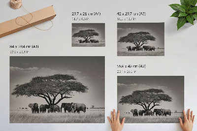Kunstdruck poster Elefanten unter einem Baum in der afrikanischen Savanne