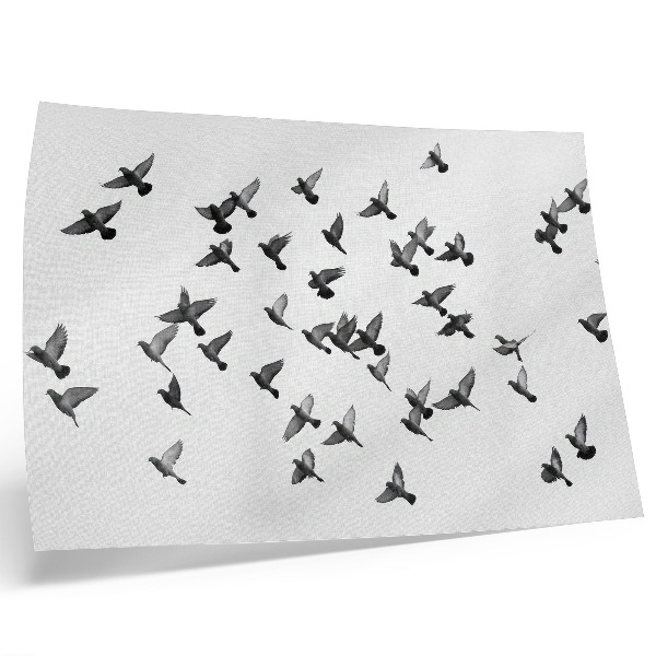 Poster kunstdruck Vögel im Flug – Elegante Schwarz-Weiß-Harmonien