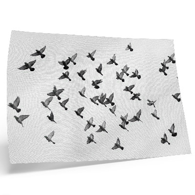 Poster kunstdruck Vögel im Flug – Elegante Schwarz-Weiß-Harmonien