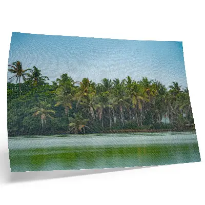 Kunstdruck Poster mit tropischen Palmen, ruhigem Wasser und harmonischem Himmel