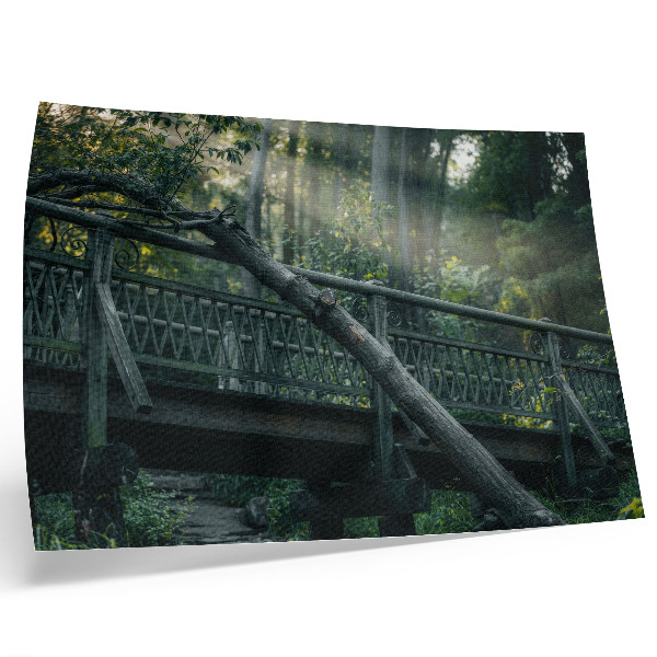 Poster kunstdruck Eine Holzbrücke inmitten von Grün und Sonnenlicht