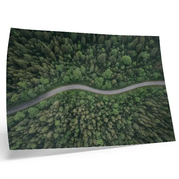 Poster Kunstdruck grüner Wald mit gewundener Straße in friedlicher Atmosphäre