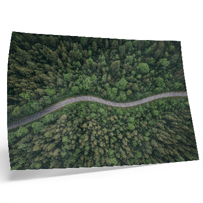 Poster kunstdruck Grüner Wald, gewundene Straße, friedliche Atmosphäre