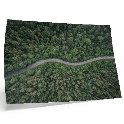 Poster Kunstdruck grüner Wald mit gewundener Straße in friedlicher Atmosphäre