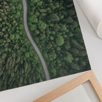 Poster Kunstdruck grüner Wald mit gewundener Straße in friedlicher Atmosphäre