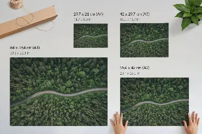 Poster Kunstdruck grüner Wald mit gewundener Straße in friedlicher Atmosphäre
