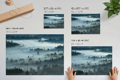 Poster Grüne Bäume im Nebel, friedliche Atmosphäre, gedämpfte Farben
