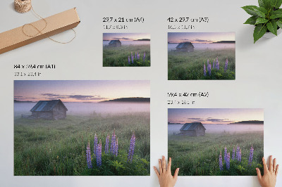 Poster Malerisches Holzhäuschen mit Nebel und Blumen