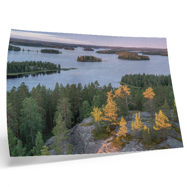 Poster kunstdruck Kiefernwaldinsel, See, pastellfarbener Himmel