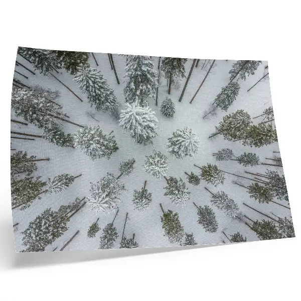 Kunstdruck Poster Winterwaldfrieden in minimalistischem und natürlichem Stil