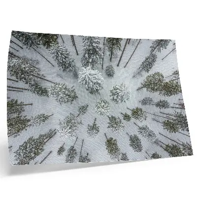 Kunstdruck Poster Winterwaldfrieden in minimalistischem und natürlichem Stil
