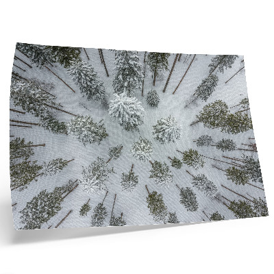 Kunstdruck poster Winterwaldfrieden, Minimalismus, Natürlichkeit