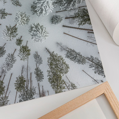 Kunstdruck poster Winterwaldfrieden, Minimalismus, Natürlichkeit