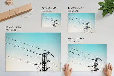 Poster Vögel auf Stromleitungen vor blauem Himmel
