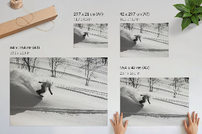 Poster kunstdruck Snowboarder in Aktion, Schnee, Bäume, Kontraste
