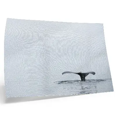 Kunstdruck Walflossen minimalistisches Motiv mit Walflosse über Wasser für Harmonie im Raum